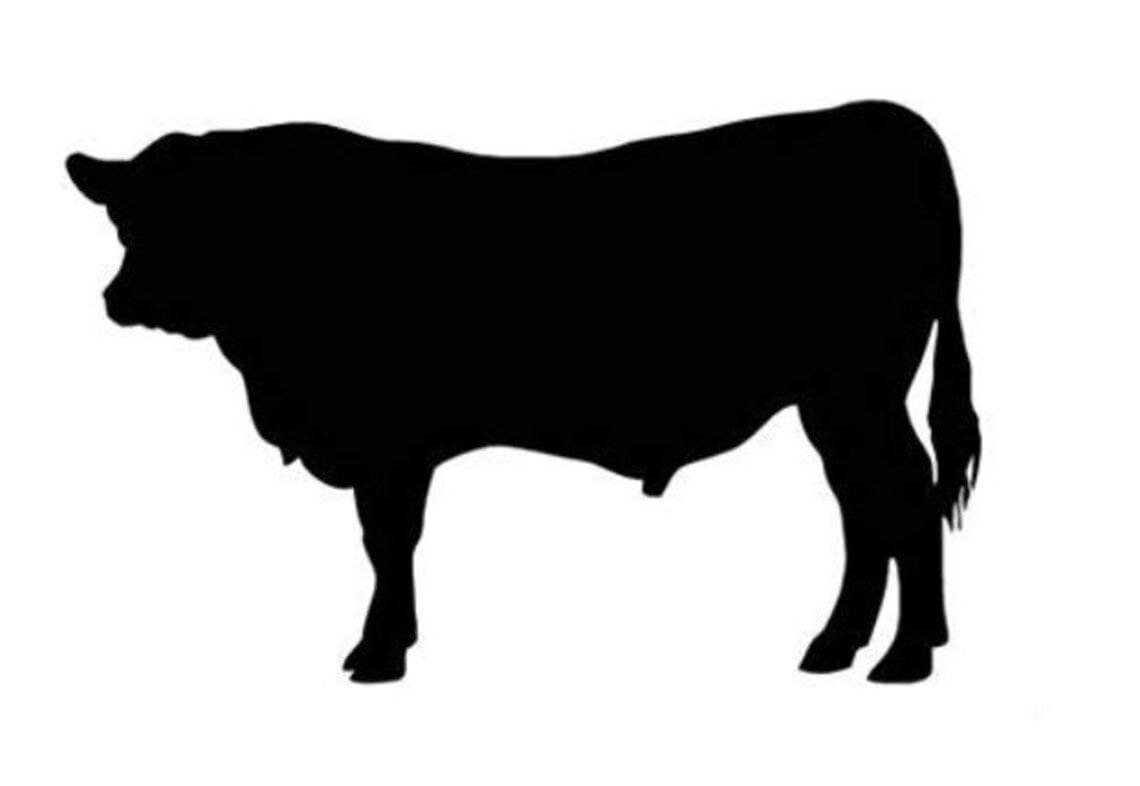 Angus Cow Bull Beef Cattle 5" Black ((Set of 2), Vinly Decal Sticker for Laptop, Apple Macbook, Car, Truck, Window, Wall
