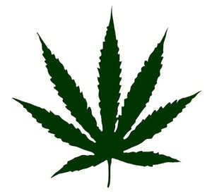 Pot Leaf Marijuana - Green 5" Decal Sticker for Laptop, Car, Truck, Van, Window, Walls